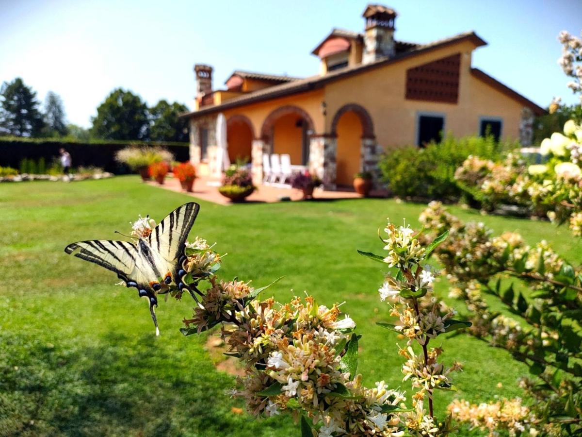 Tuscan Villa Exclusive Use Of Private Pool A/C Wifi Villa Briciola كابانّوري المظهر الخارجي الصورة