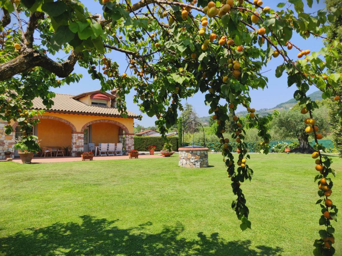 Tuscan Villa Exclusive Use Of Private Pool A/C Wifi Villa Briciola كابانّوري المظهر الخارجي الصورة